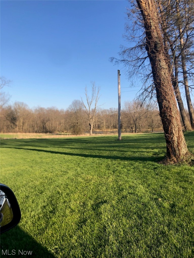 11695 Basinger Road North Lima, OH 44452 - Photo 13 of 14 Looking toward lake