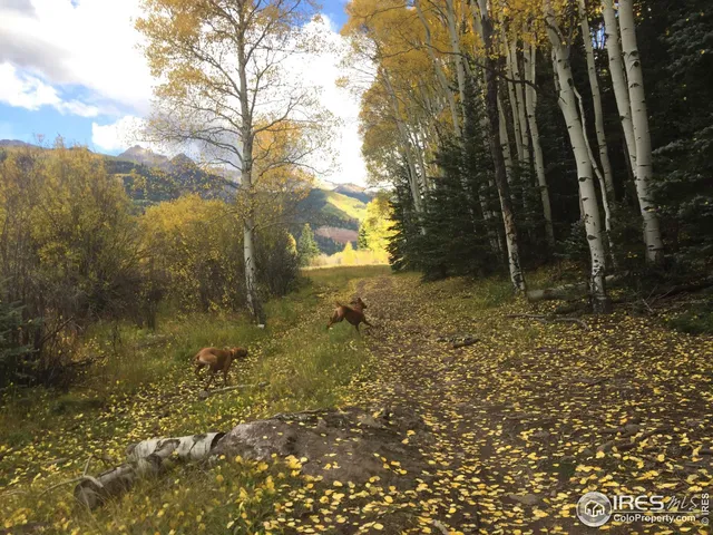 $379,500 | 346 McConnell Drive, Lyons, CO 80540