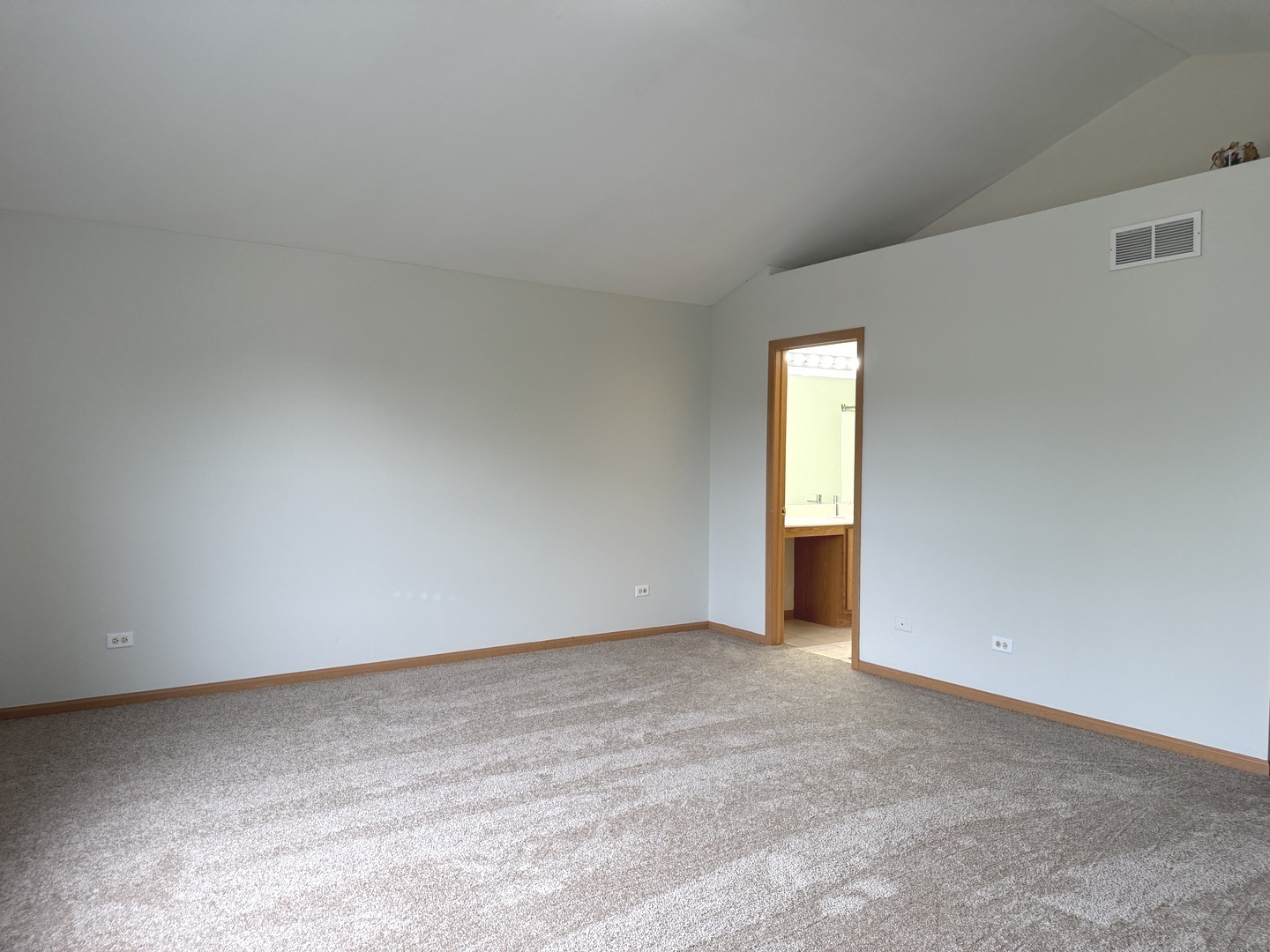 6304 Blue Ridge Drive Plainfield, IL 60586 - Photo 18 of 30