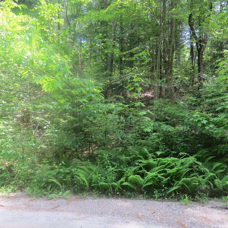 Lot 1 Pratt Corner Road Shutesbury, MA 01072 - Photo 2 of 5