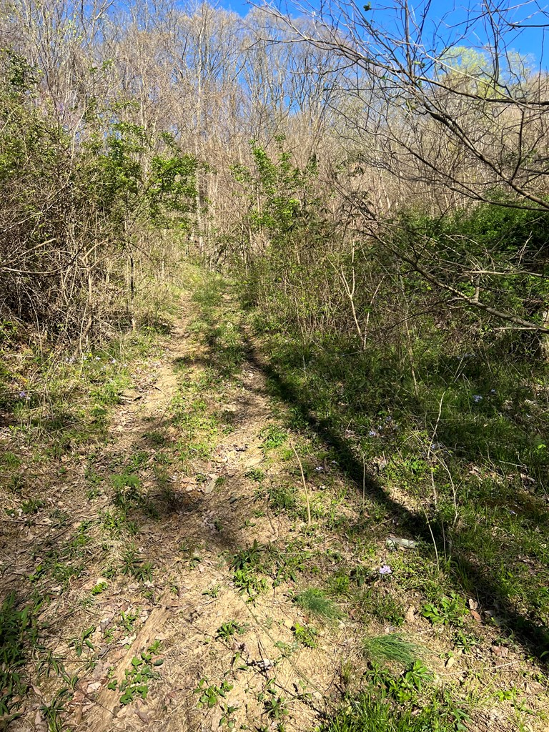 127.5 East River Mountain Road, Unit 22 Narrows, VA 24124 - Photo 16 of 39 Gallery Image 16