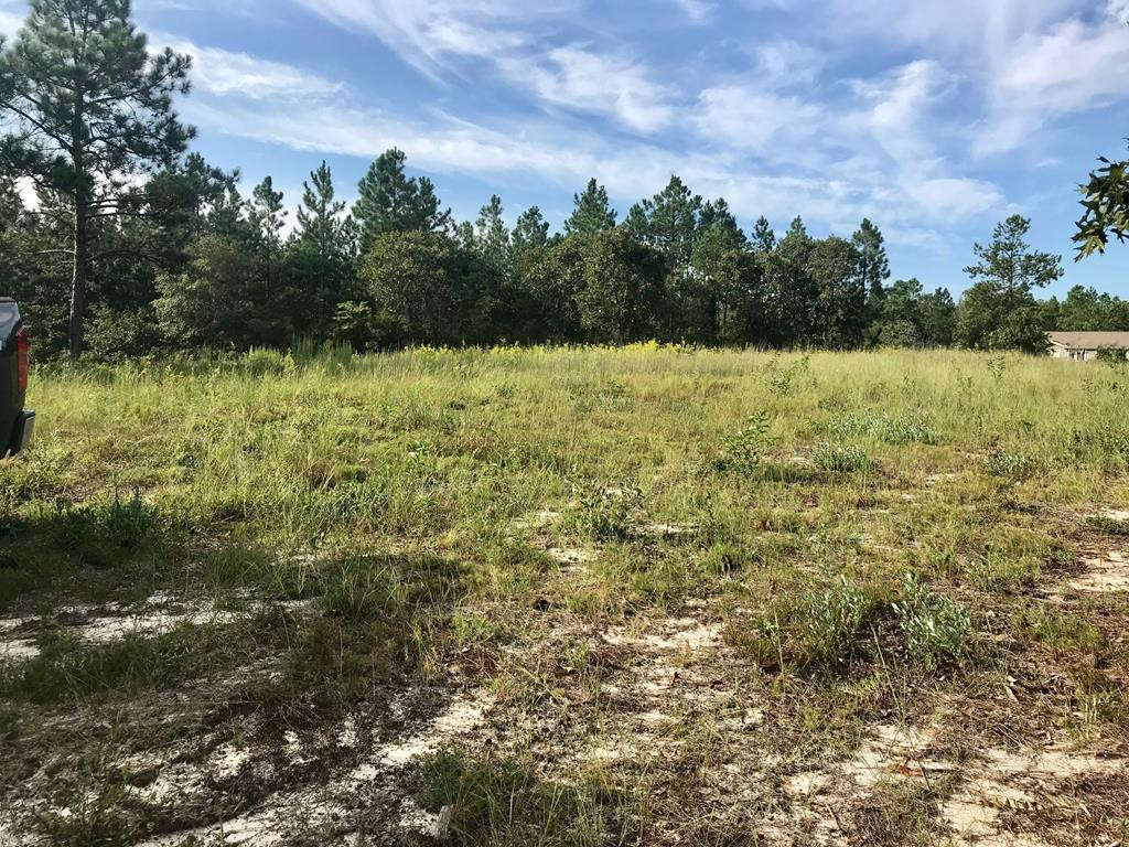 Lot#13-19 Holder Road Batesburg, SC 29006 - Photo 4 of 18