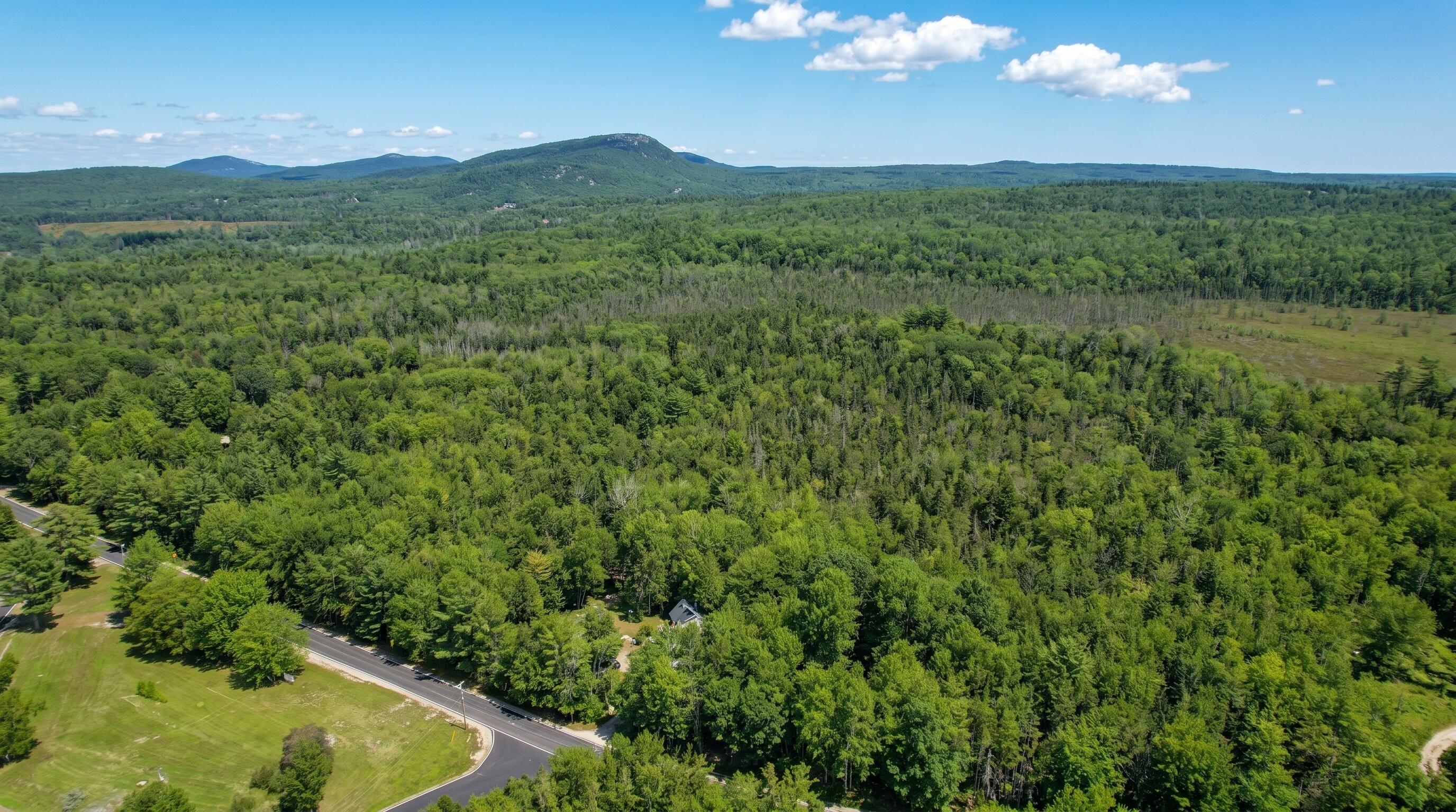 535 Bert Gray Road Sullivan, ME 04664 - Photo 15 of 15