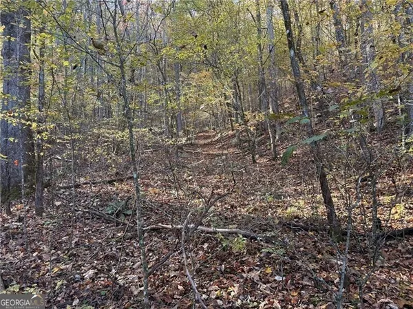 $699,900 | 0 Ov Justus Road, Rabun Gap, GA 30568