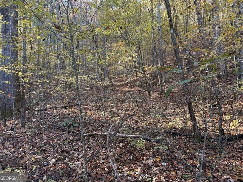 0 Ov Justus Road Rabun Gap, GA 30568 - Photo 13 of 13 a view of a forest