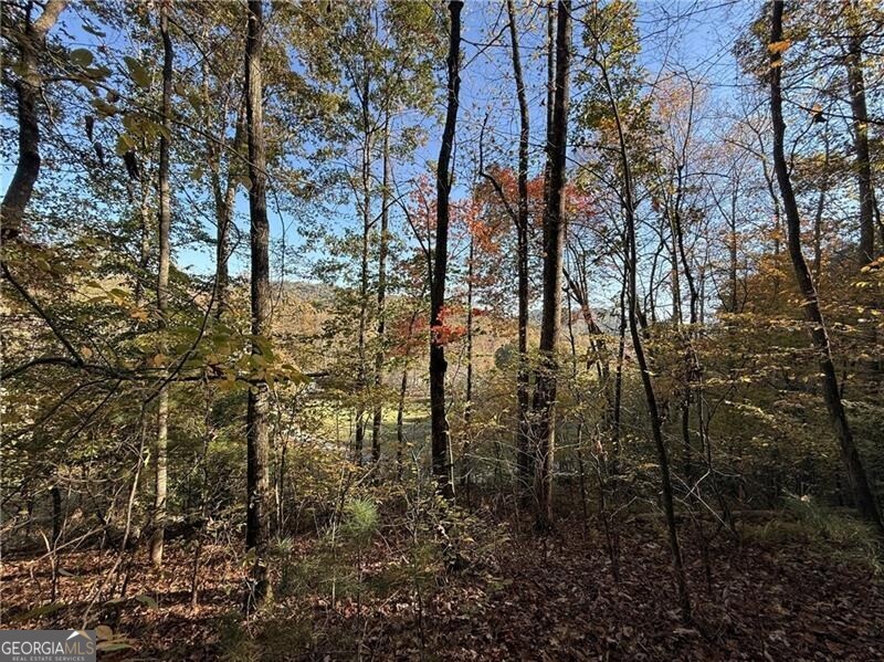 0 Ov Justus Road Rabun Gap, GA 30568 - Photo 6 of 13 a view of a yard