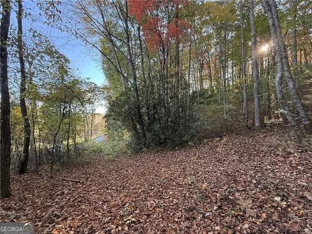 a view of a yard with trees