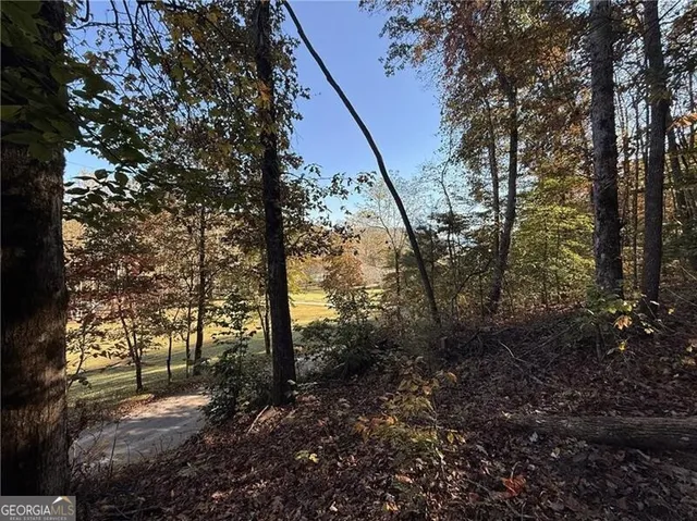 a view of a forest with trees