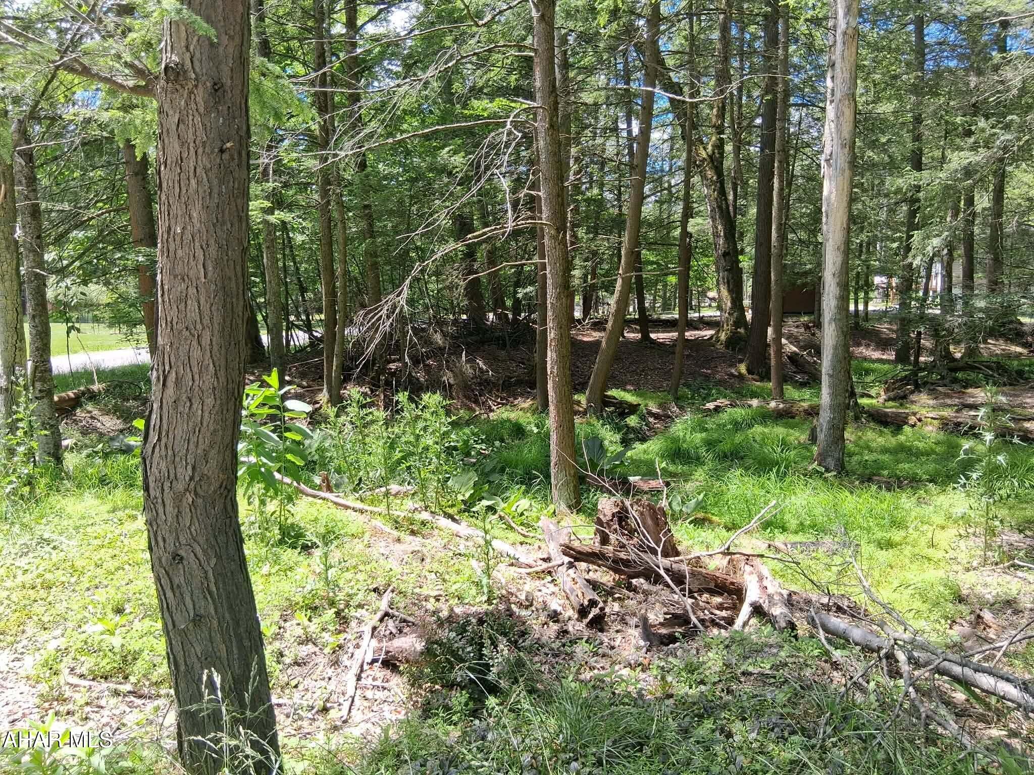 350 Kibler Lake Road Flinton, PA 16640 - Photo 6 of 13