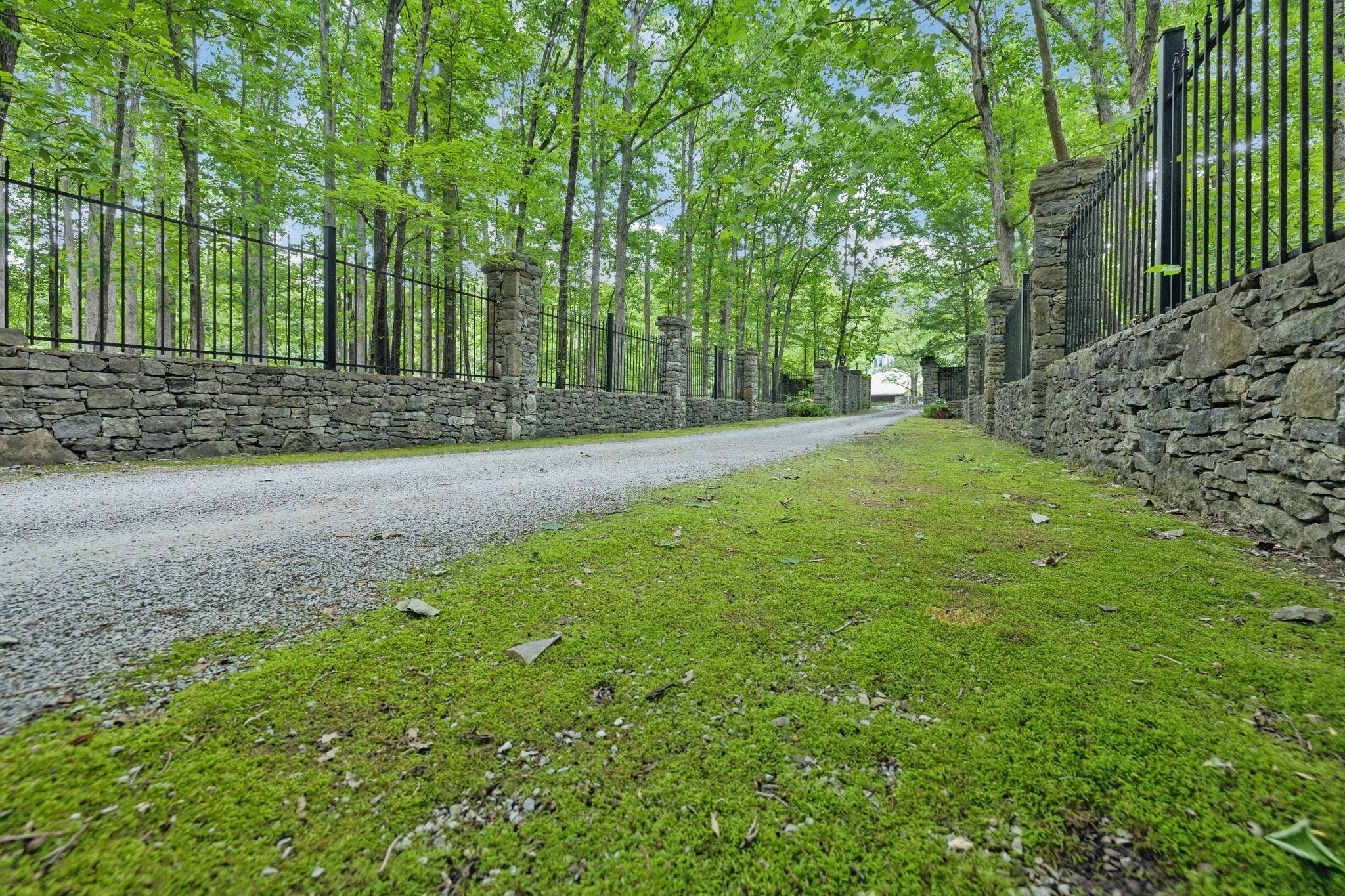 1105 Mt Pleasant Road Kingston Springs, TN 37082 - Photo 6 of 97 a view of a yard with large trees