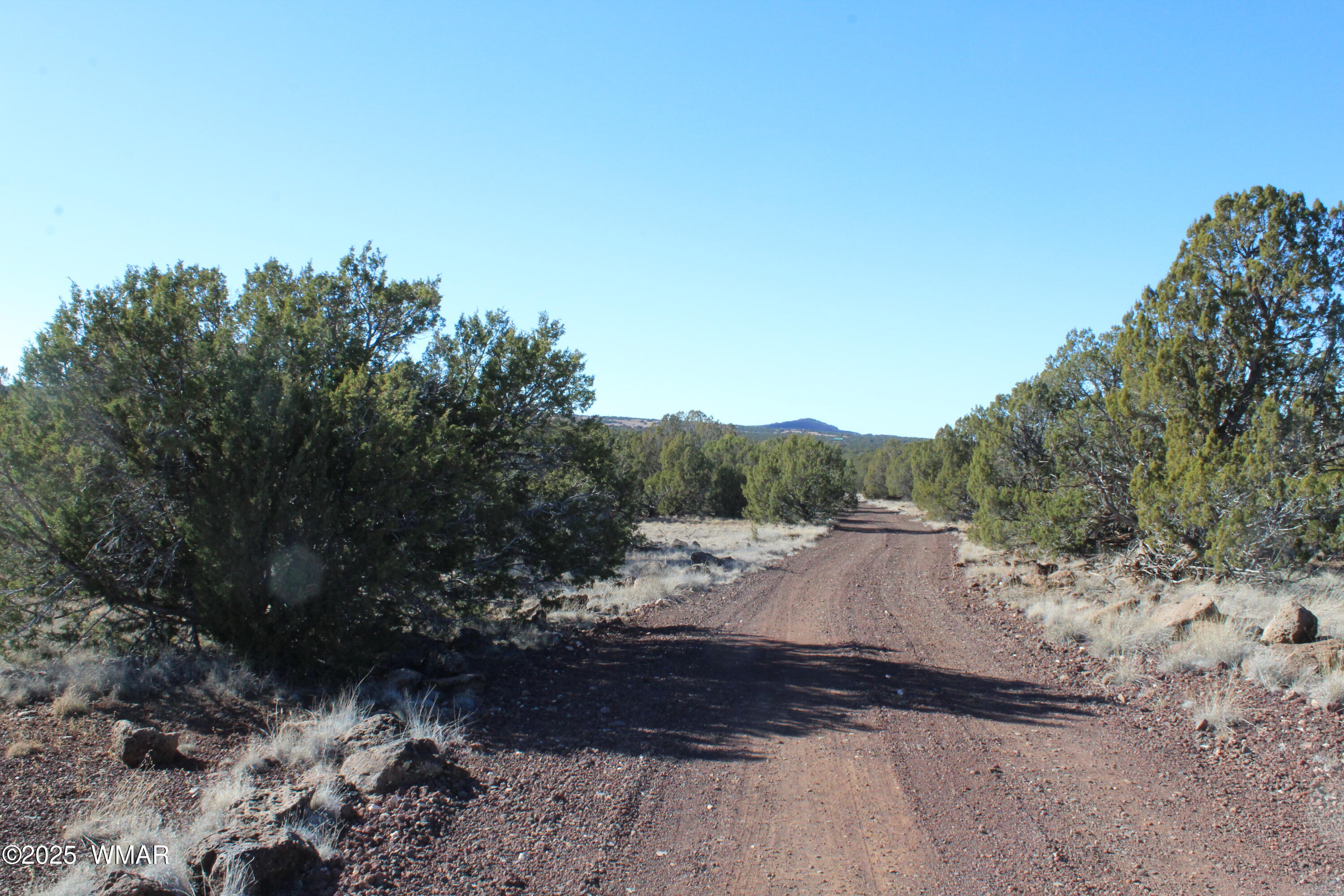 Lot 163 Kb Ranch Road Show Low, AZ 85901 - Photo 1 of 17 Gilbert K B Ranch Road (1)