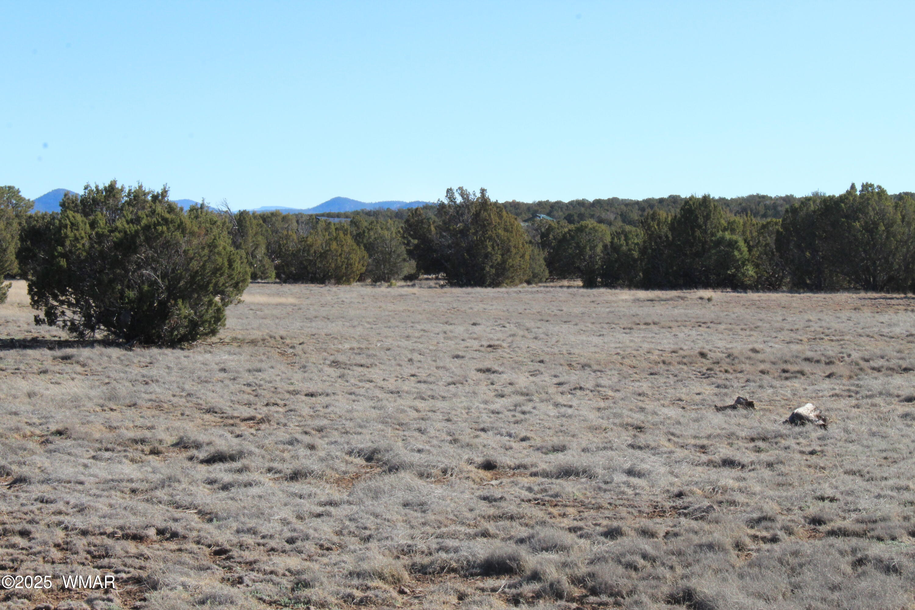 Lot 163 Kb Ranch Road Show Low, AZ 85901 - Photo 11 of 17 Gilbert K B Ranch Road (10)