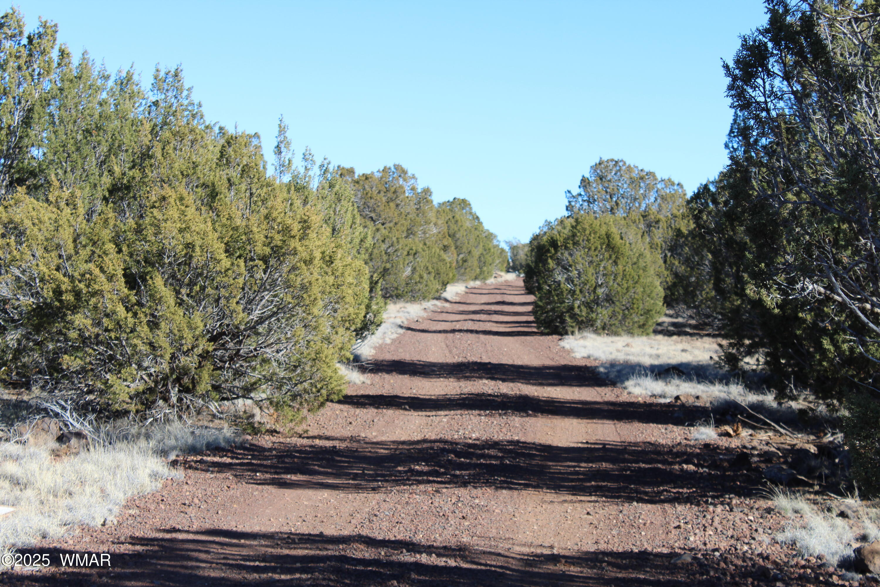 Lot 163 Kb Ranch Road Show Low, AZ 85901 - Photo 13 of 17 Gilbert K B Ranch Road (12)