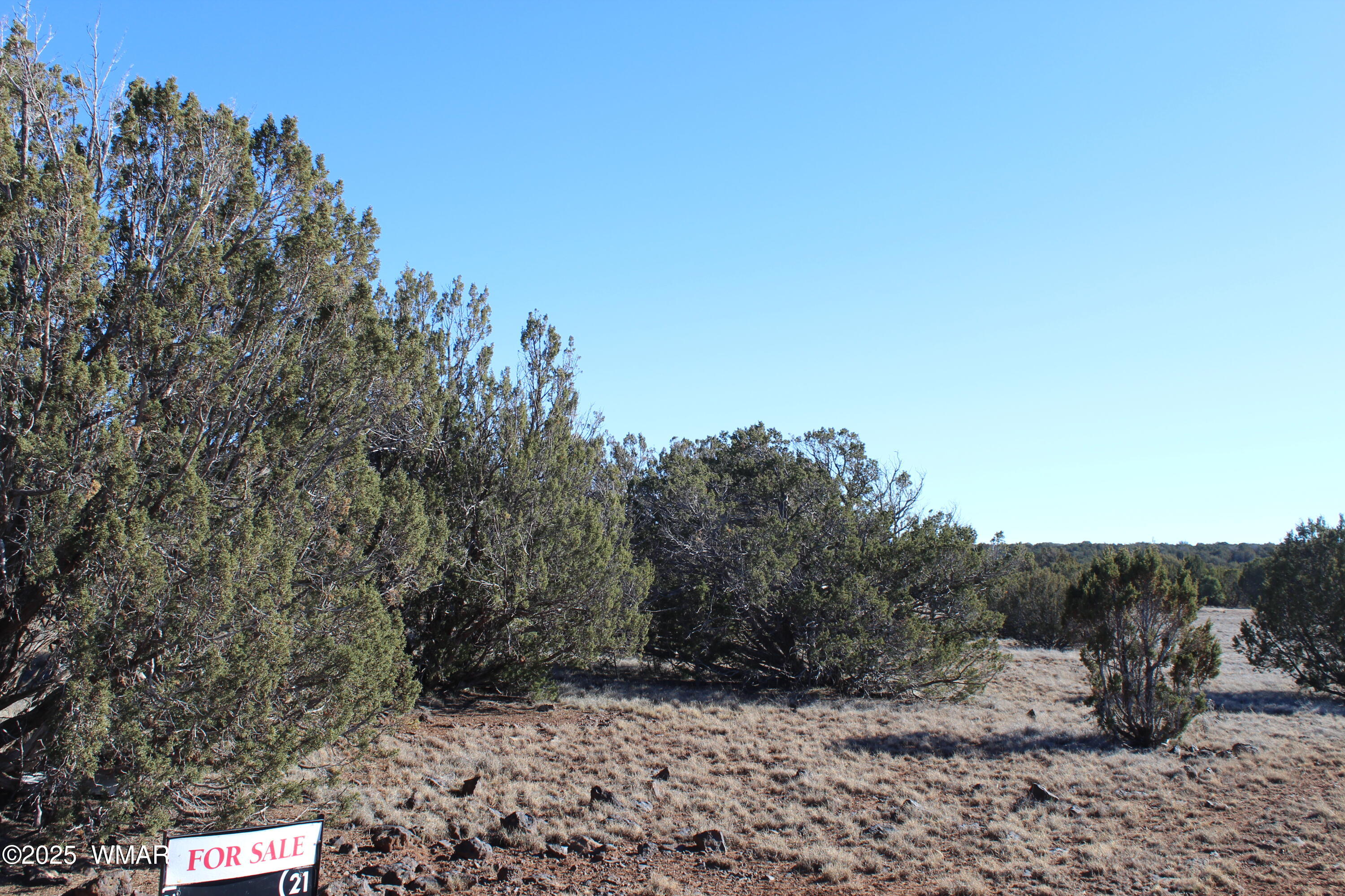 Lot 163 Kb Ranch Road Show Low, AZ 85901 - Photo 14 of 17 Gilbert K B Ranch Road (13)
