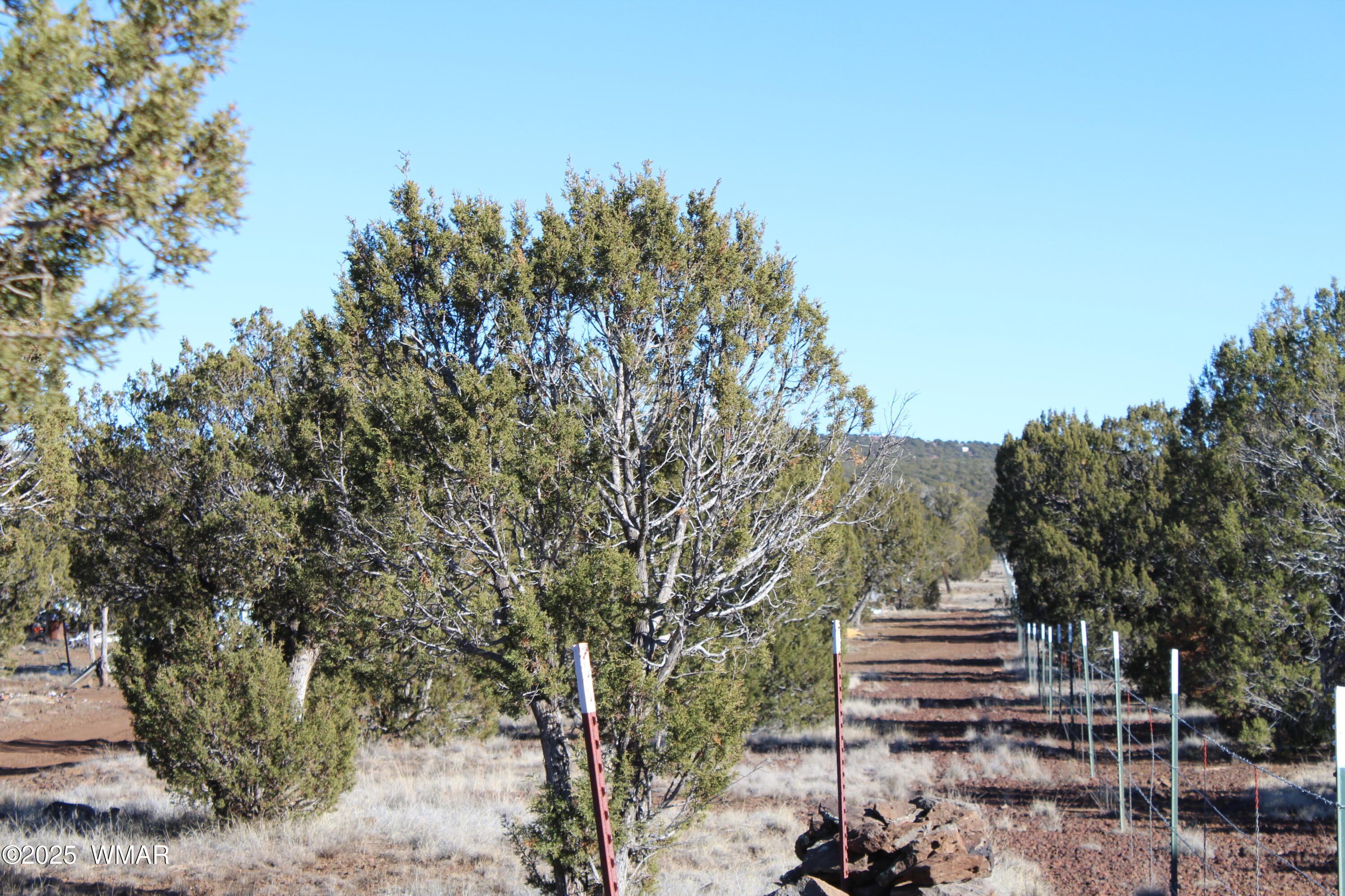 Lot 163 Kb Ranch Road Show Low, AZ 85901 - Photo 15 of 17 Gilbert K B Ranch Road (15)