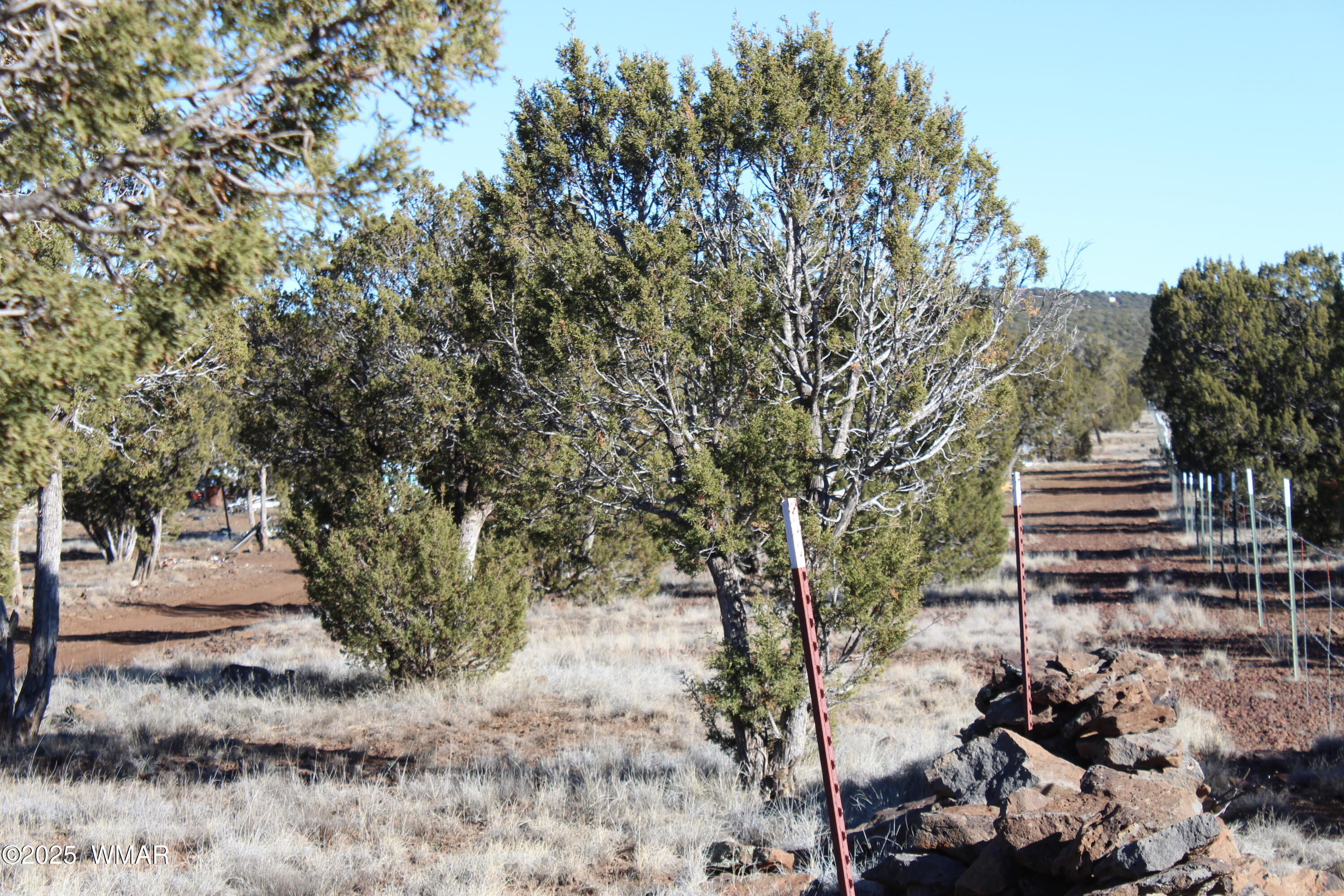 Lot 163 Kb Ranch Road Show Low, AZ 85901 - Photo 16 of 17 Gilbert K B Ranch Road (16)
