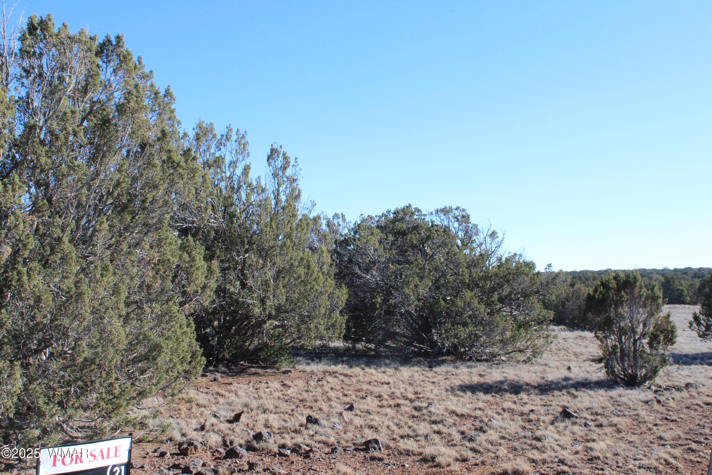 Lot 163 Kb Ranch Road Show Low, AZ 85901 - Photo 2 of 17 Gilbert K B Ranch Road (14)