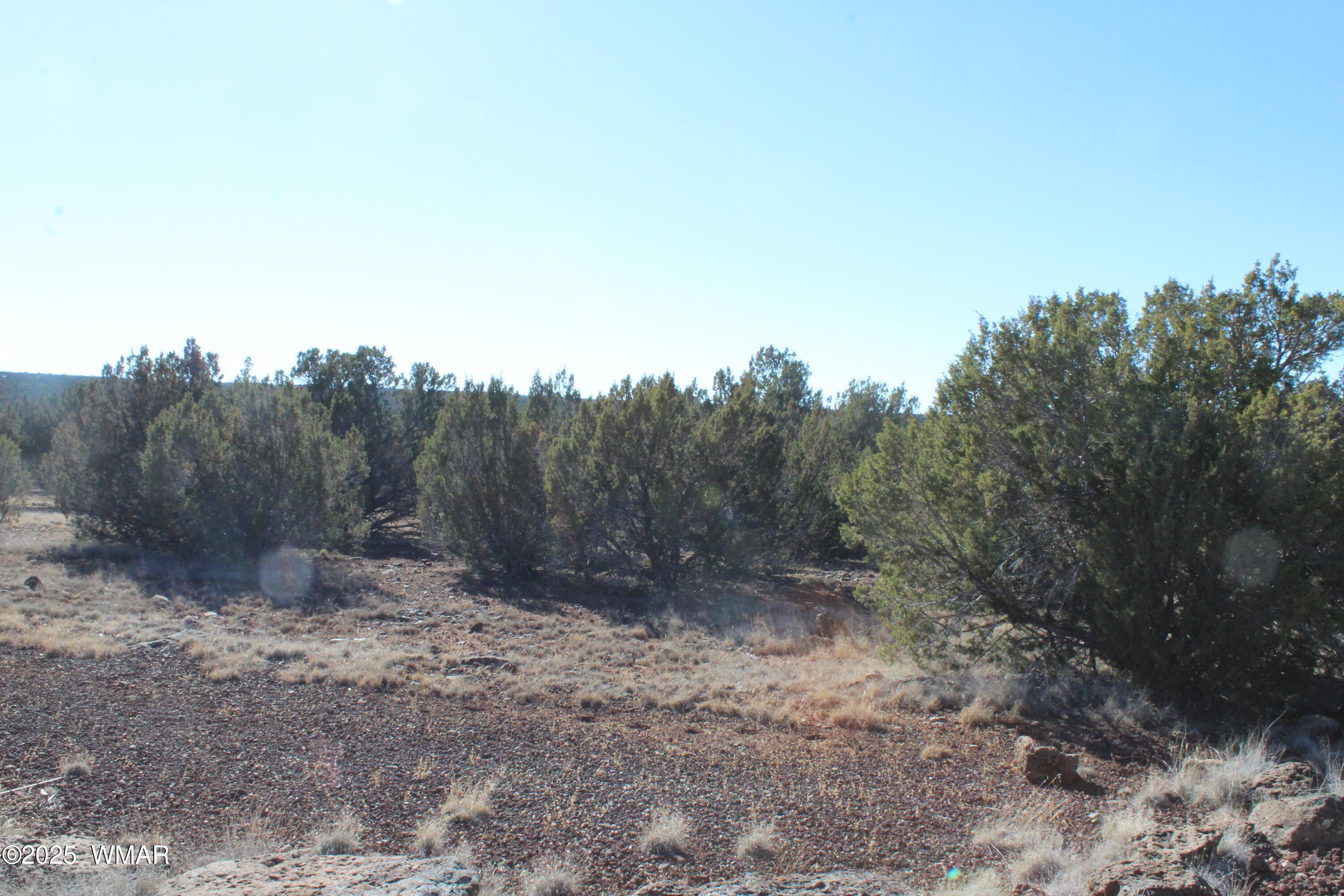 Lot 163 Kb Ranch Road Show Low, AZ 85901 - Photo 3 of 17 Gilbert K B Ranch Road (2)