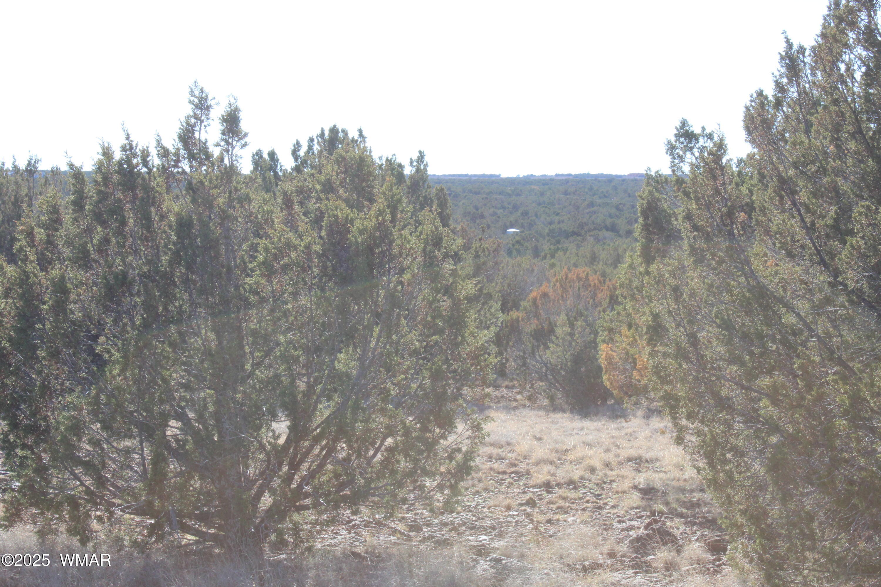 Lot 163 Kb Ranch Road Show Low, AZ 85901 - Photo 4 of 17 Gilbert K B Ranch Road (3)