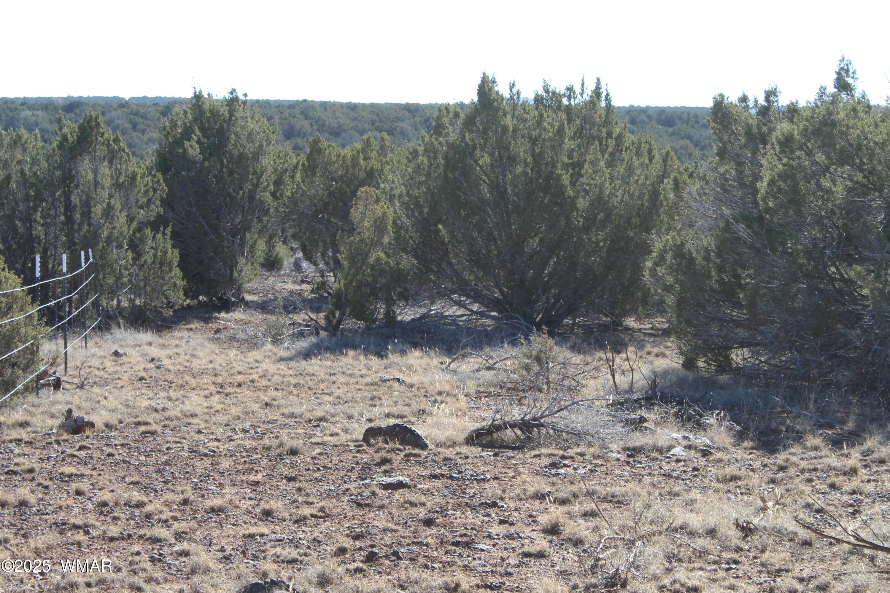 Lot 163 Kb Ranch Road Show Low, AZ 85901 - Photo 5 of 17 Gilbert K B Ranch Road (4)