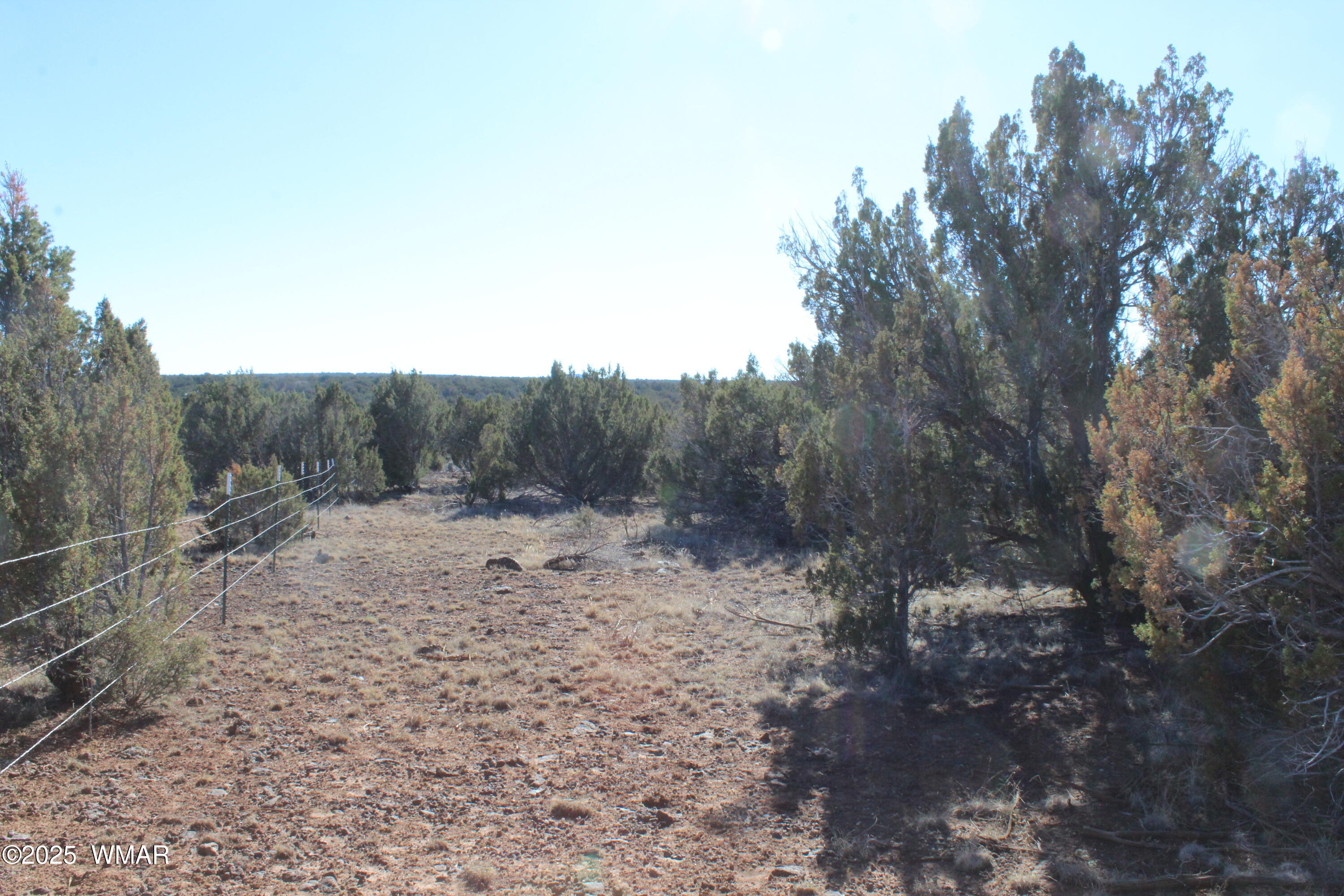 Lot 163 Kb Ranch Road Show Low, AZ 85901 - Photo 6 of 17 Gilbert K B Ranch Road (5)