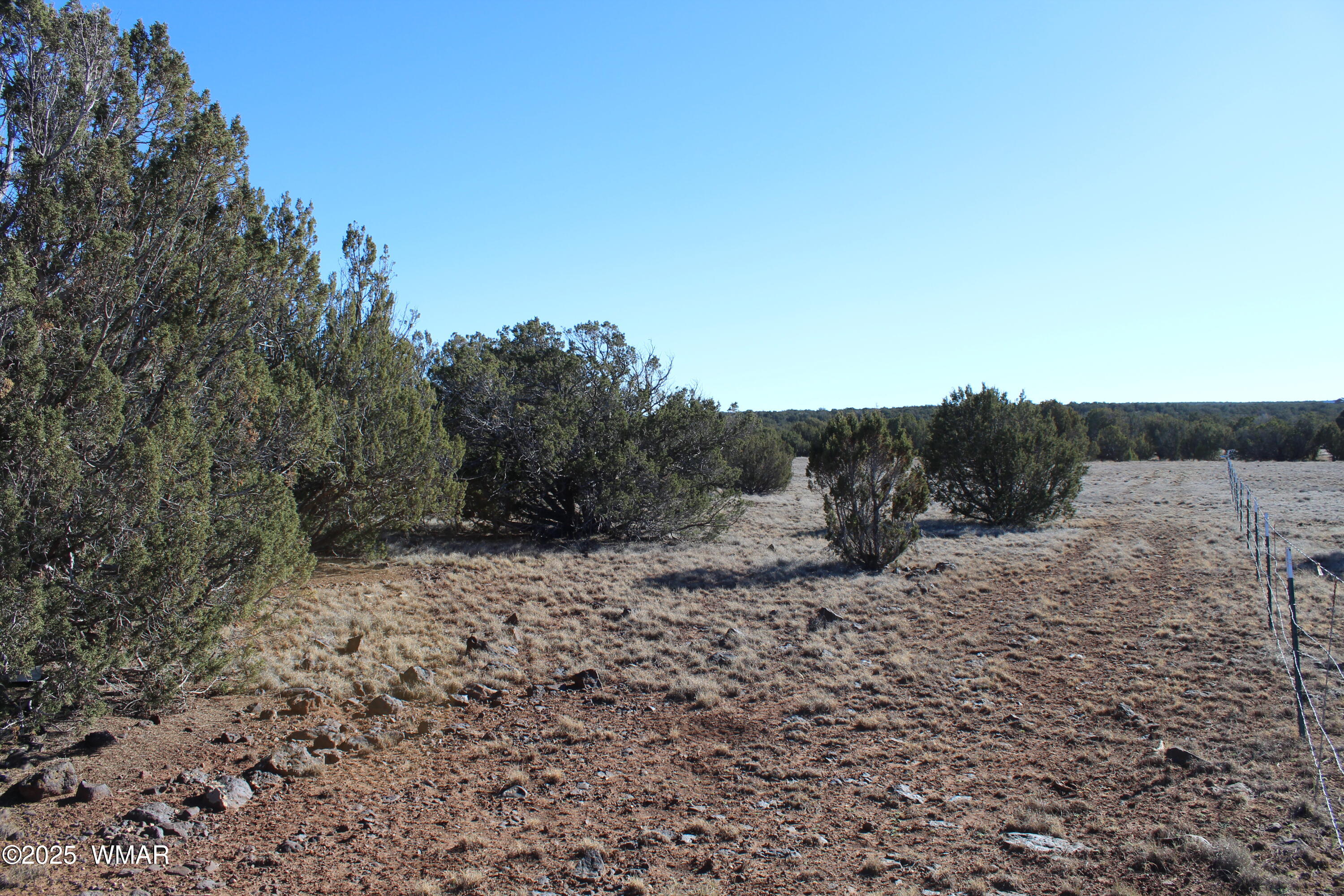 Lot 163 Kb Ranch Road Show Low, AZ 85901 - Photo 7 of 17 Gilbert K B Ranch Road (6)