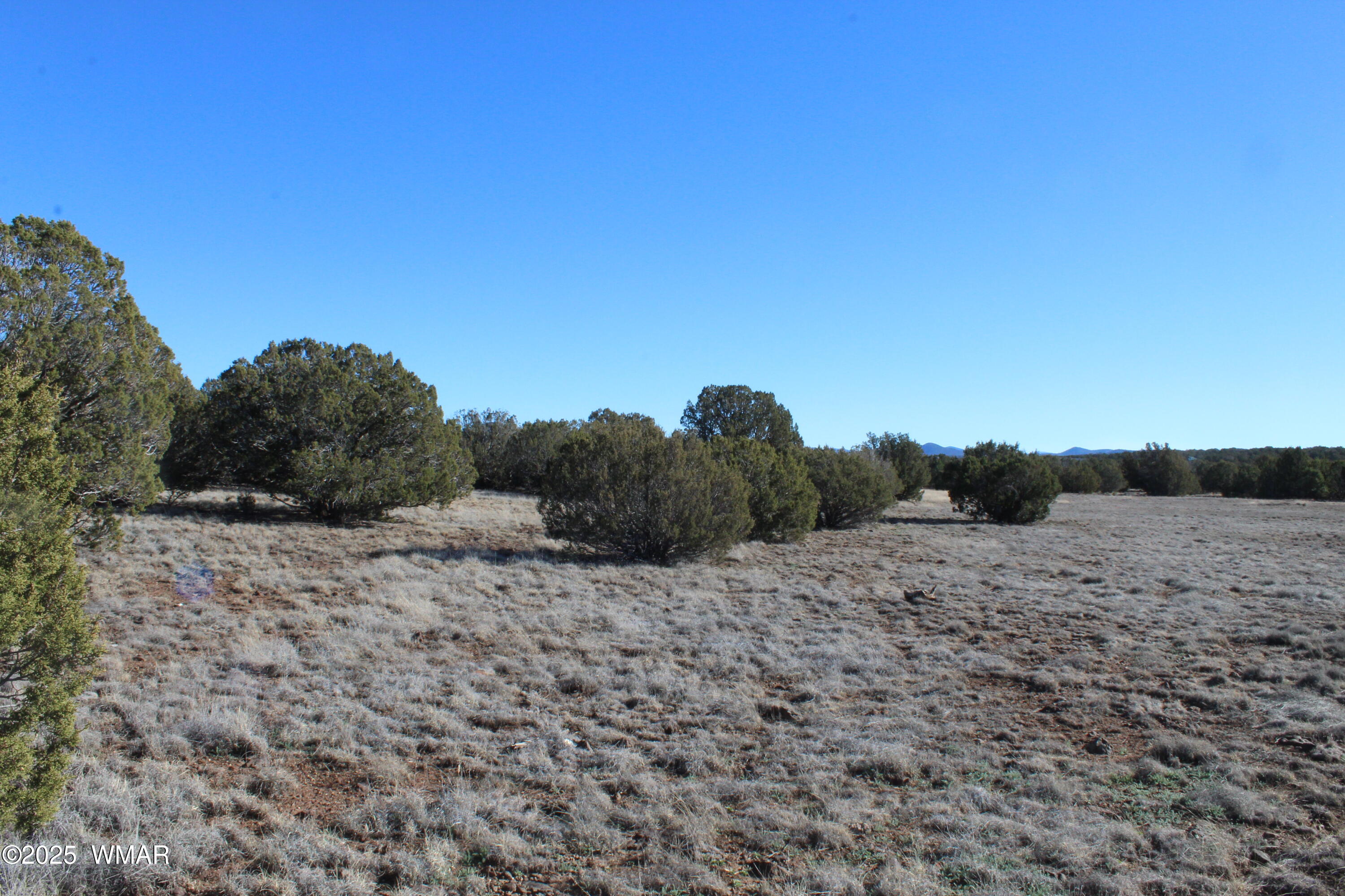 Lot 163 Kb Ranch Road Show Low, AZ 85901 - Photo 9 of 17 Gilbert K B Ranch Road (8)