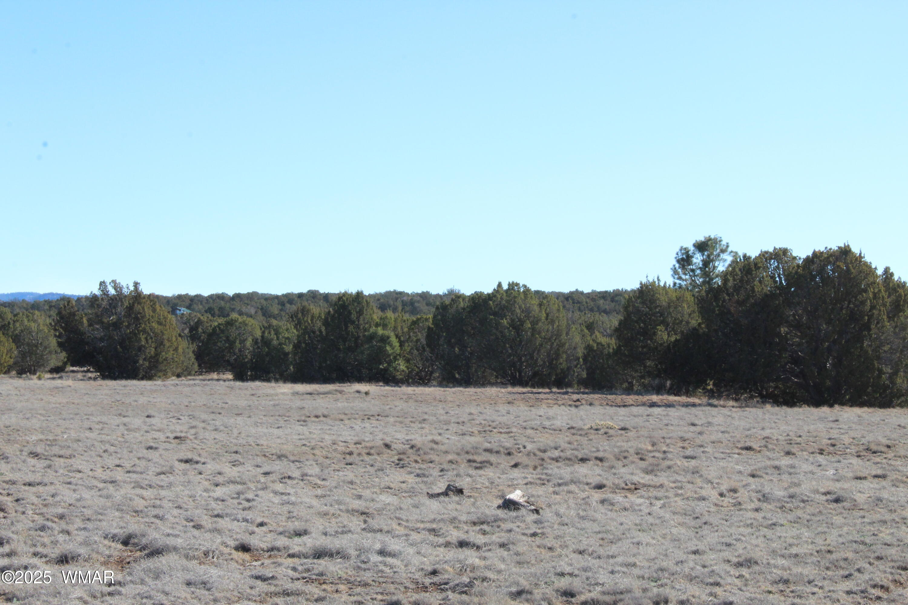 Lot 163 Kb Ranch Road Show Low, AZ 85901 - Photo 10 of 17 Gilbert K B Ranch Road (9)