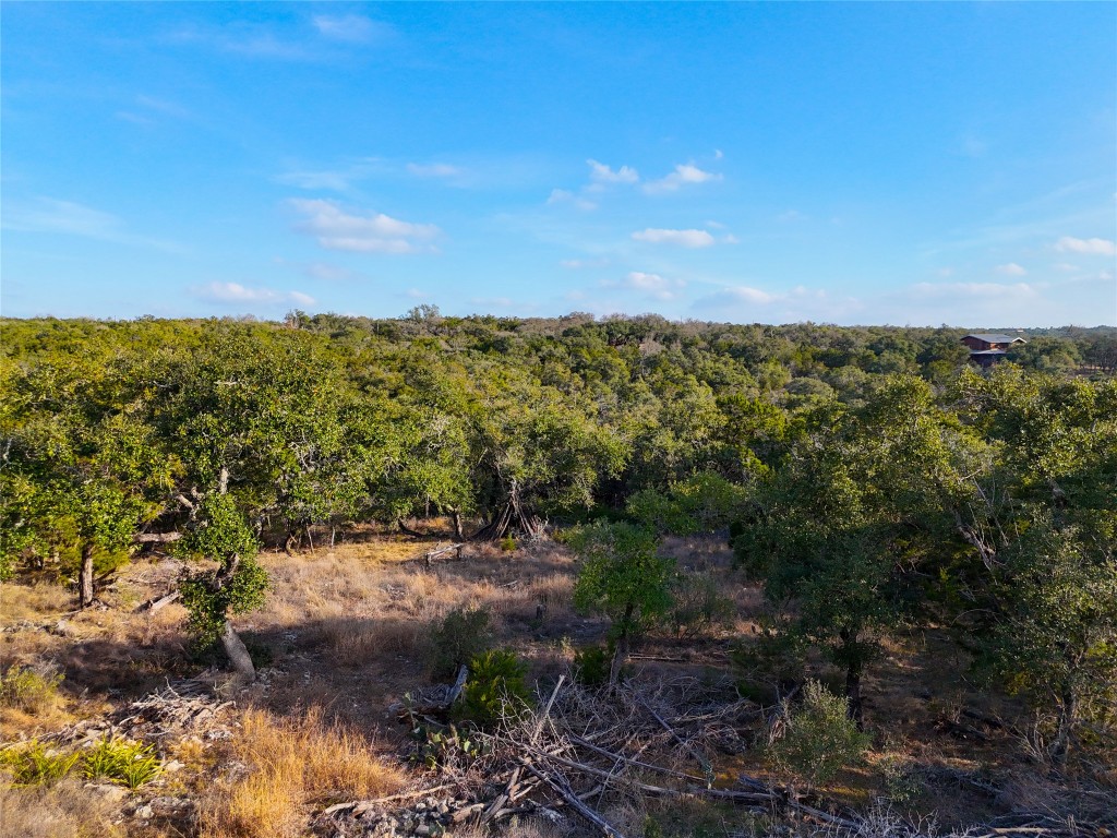 901 Thurman Road San Marcos, TX 78666 - Photo 16 of 32 View from kitchen windows