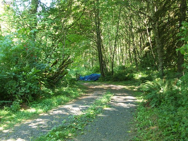 67898 Meissner Road Deer Island, OR 97054 - Photo 23 of 25 Gallery Image 23