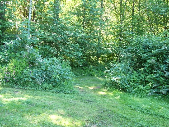 67898 Meissner Road Deer Island, OR 97054 - Photo 24 of 25 Gallery Image 24