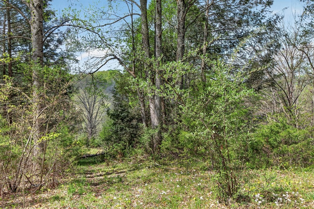 11527 Lindell Road Meadowview, VA 24361 - Photo 46 of 63 Gallery Image 46