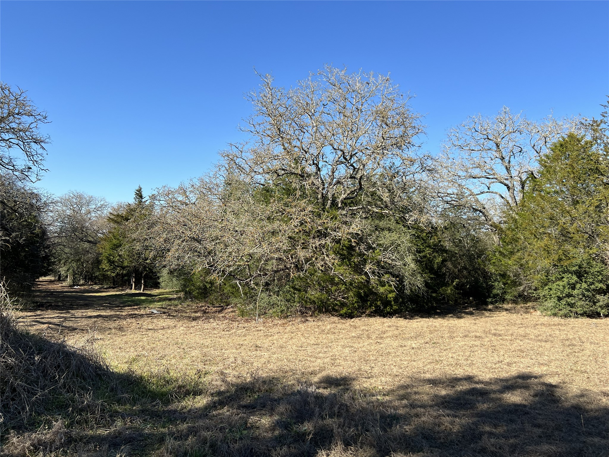 Tbd Rosanky Cattle Company Road Smithville, TX 78957 - Photo 35 of 40