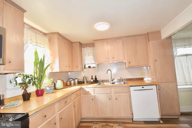 a view of a patio with chairs and potted plants