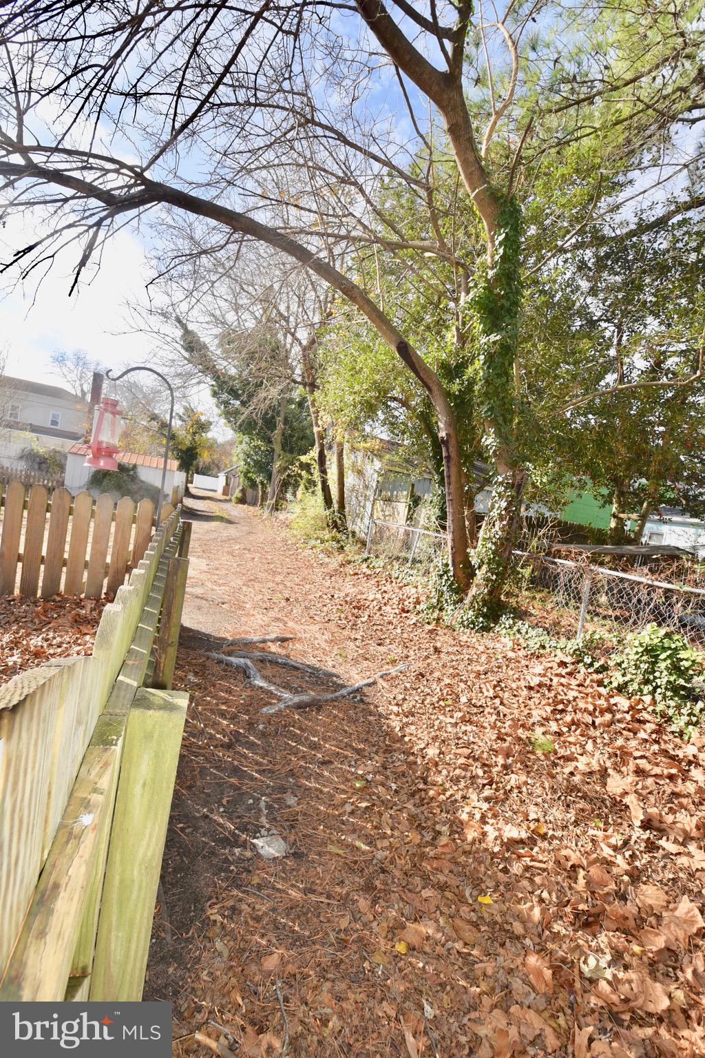 211 Choptank Avenue Cambridge, MD 21613 - Photo 46 of 57 a view of a yard with large trees