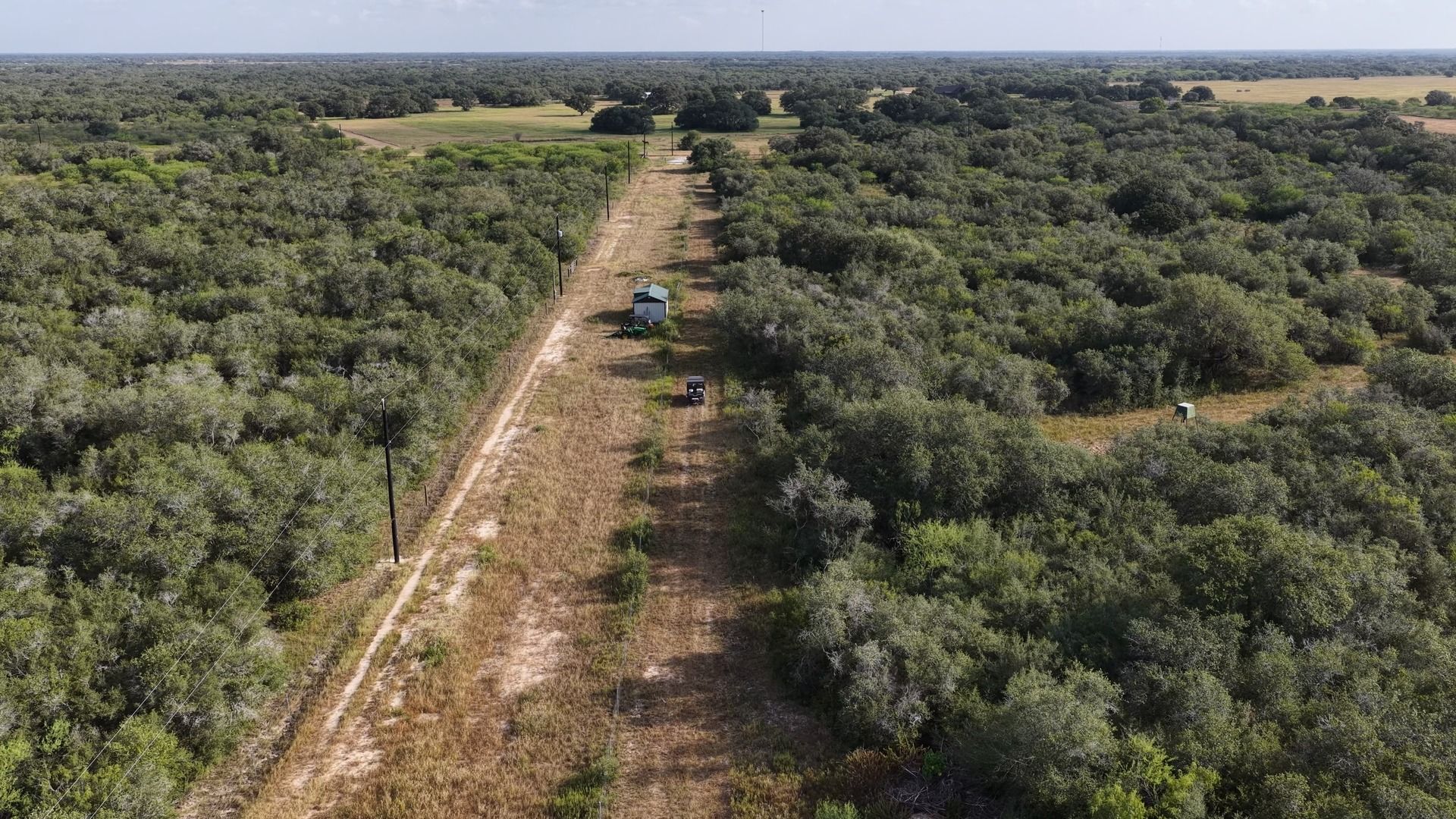 251 Old Goliad Road Refugio, TX 78377 - Photo 25 of 40 A long dirt path cuts through dense green woodland stretching toward the horizon.