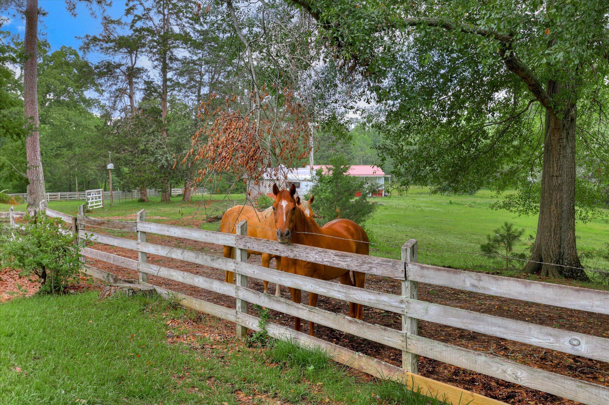 711 Augusta St Extension McCormick, SC 29835 - Photo 46 of 78 61-161