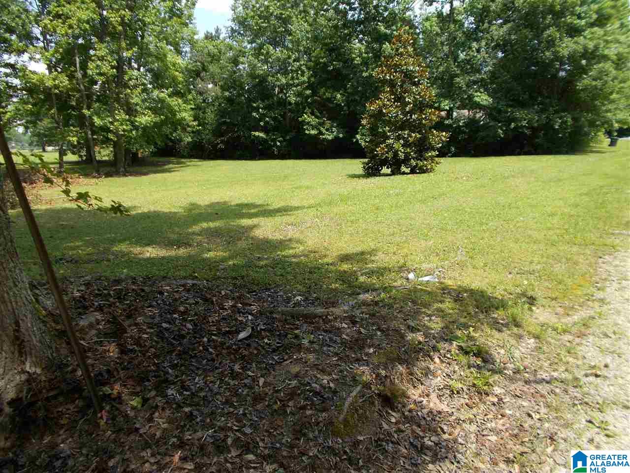 234 Simpson Road Odenville, AL 35120 - Photo 18 of 22