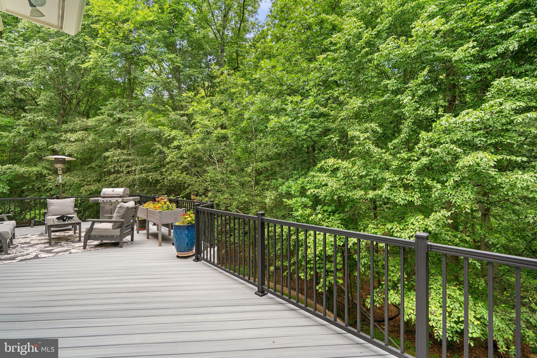 18429 Woodburn Road Leesburg, VA 20175 - Photo 73 of 82 AMAZING privacy in all directions