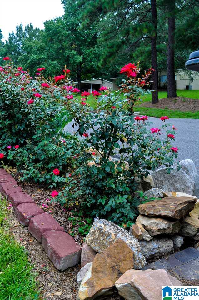 2225 Chapel Hill Road Birmingham, AL 35216 - Photo 47 of 48