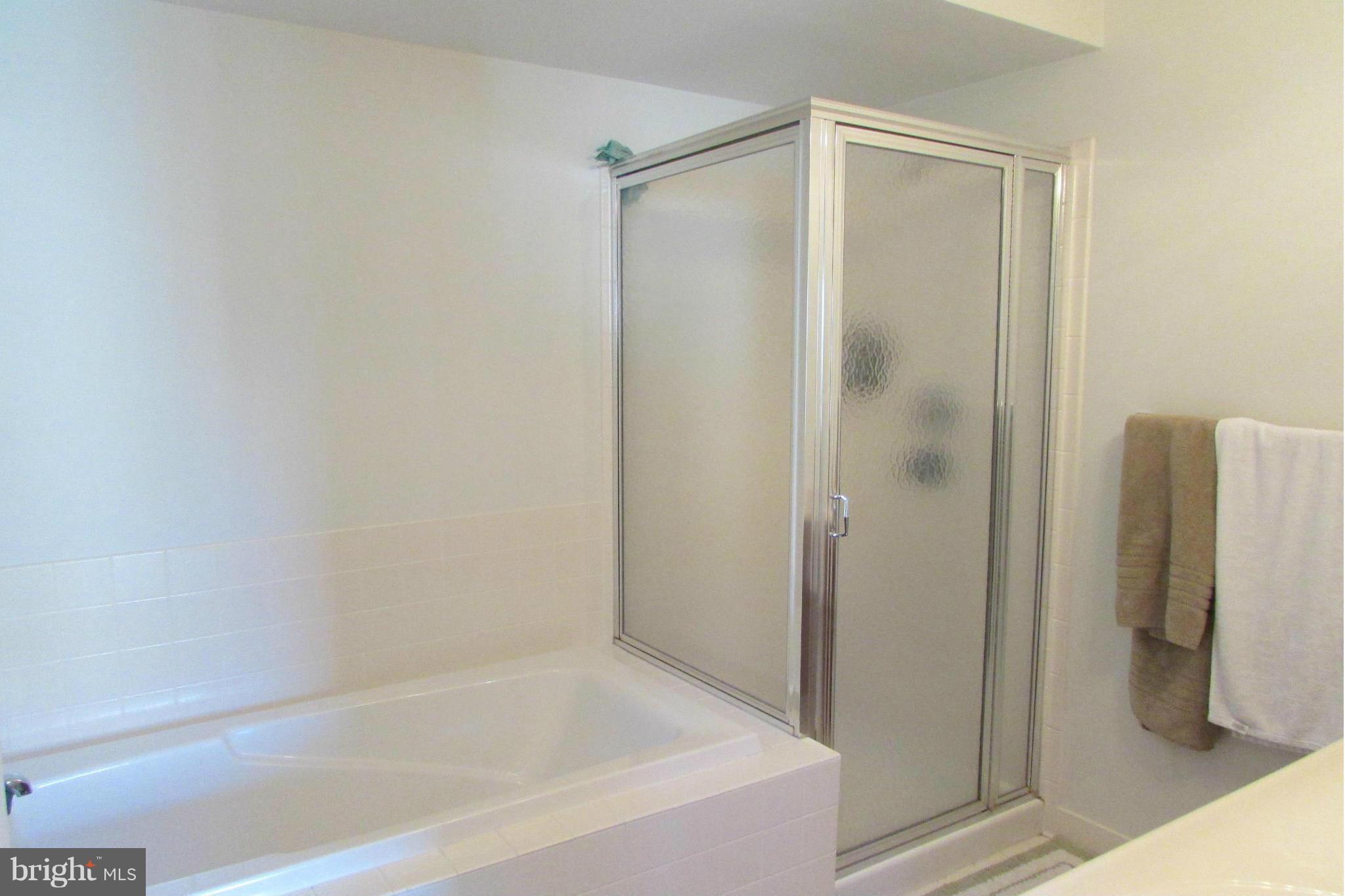 2443 Rippling Brook Road Frederick, MD 21701 - Photo 22 of 30 Bath (Master)