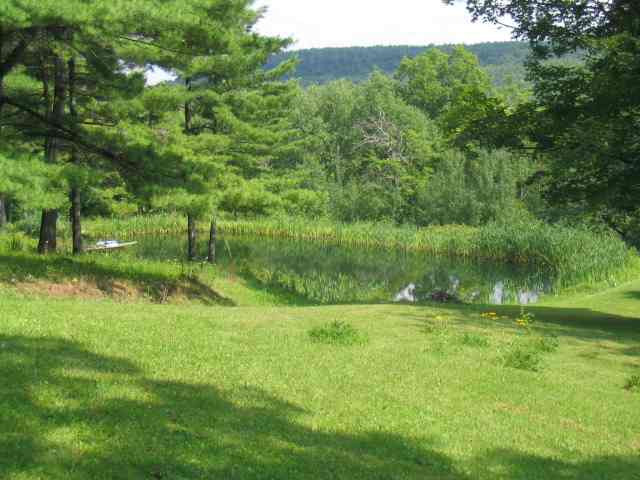 842 Canaday Hill Road Middleburgh, NY 12122 - Photo 3 of 8 Photo 3