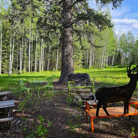 $110,000 | 200 Hazel Lake Drive, Cimarron, CO 81220