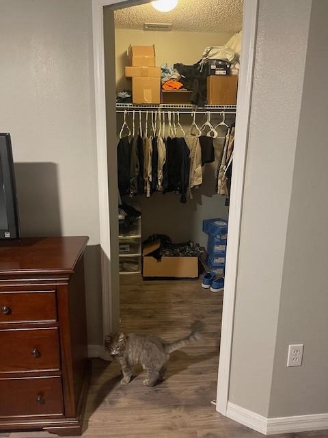 14 Random Place Palm Coast, FL 32164 - Photo 13 of 25 a view of walk in closet with clothes and shoes