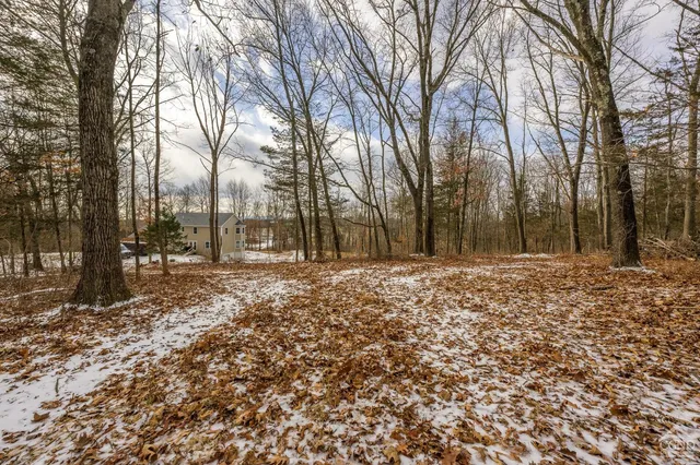 a view of an ocean and beach