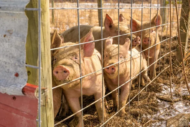 a view of outdoor space