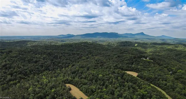 $275,000 | 0 Peewee Cromer Road, Danbury, NC 27016