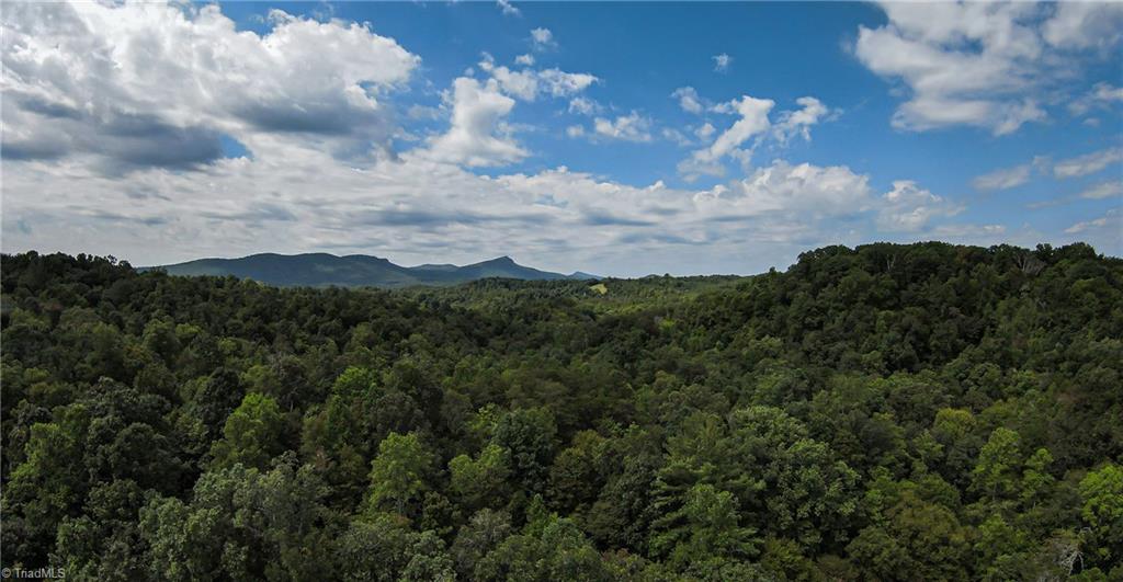 0 Peewee Cromer Road Danbury, NC 27016 - Photo 2 of 13 Location north of Hanging Rock State Park