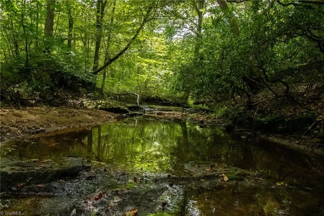 $275,000 | 0 Peewee Cromer Road, Danbury, NC 27016