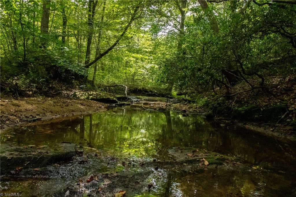 0 Peewee Cromer Road Danbury, NC 27016 - Photo 3 of 13 Creek crosses the property